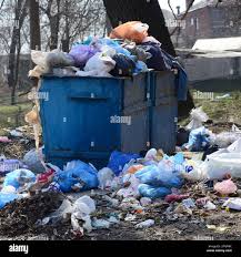 Best Yard Waste Removal  in Wayne, IL