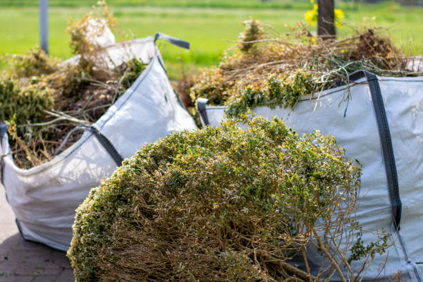 Trusted Wayne, IL Junk Removal Services Experts