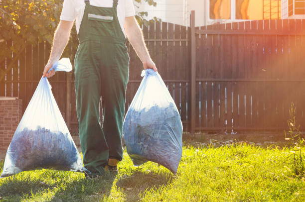 Best Junk Removal for Events  in Wayne, IL